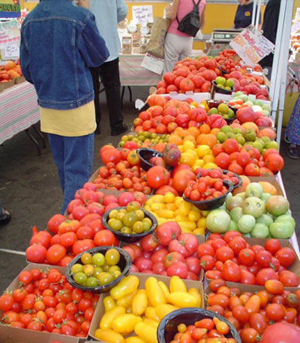 When The Mood Is Food, LLC Clients Client List Photo